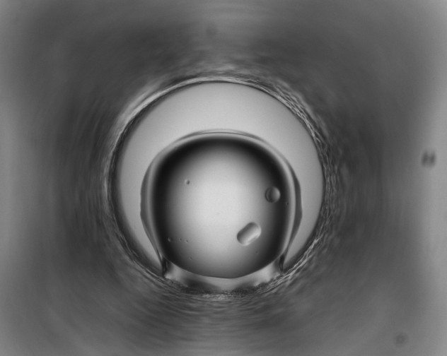 X0000099460344200805301539