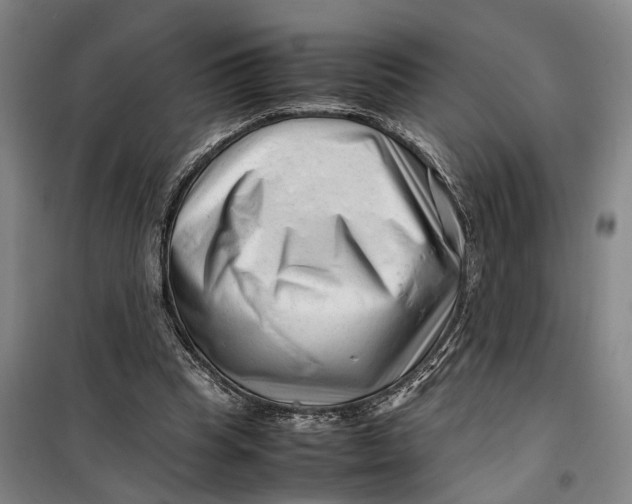 X0000099460345200805301539