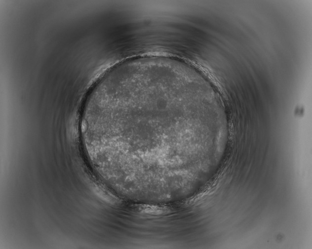 X0000099460347200805301539