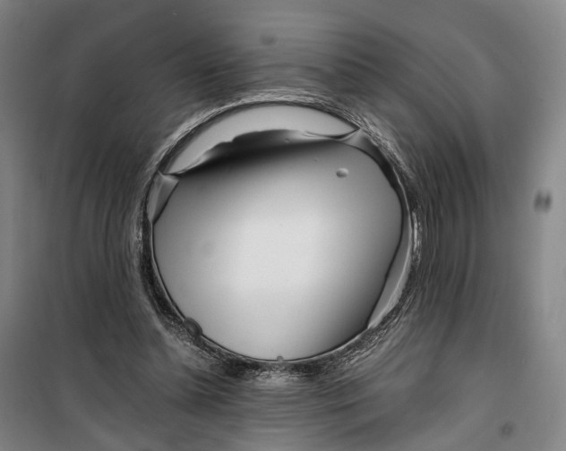 X0000099460348200805301539