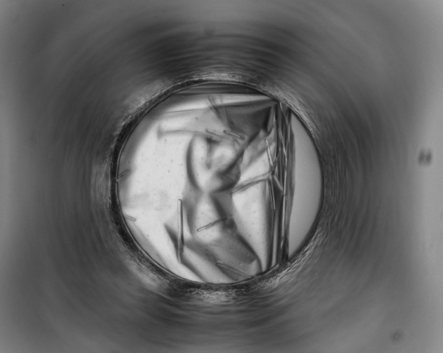 X0000099460349200805301539