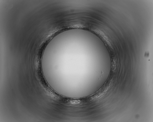 X0000099460355200805301539