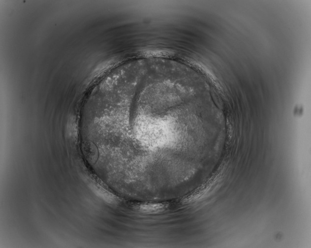 X0000099460357200805301539