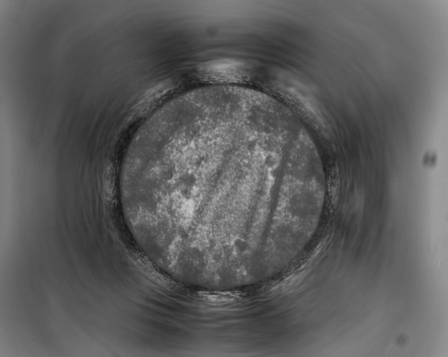 X0000099460359200805301539