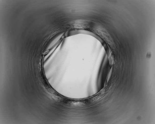 X0000099460360200805301539