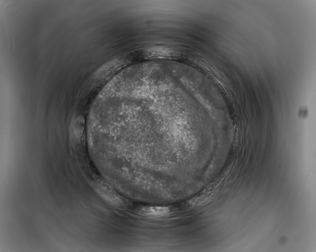 X0000099460361200805301539