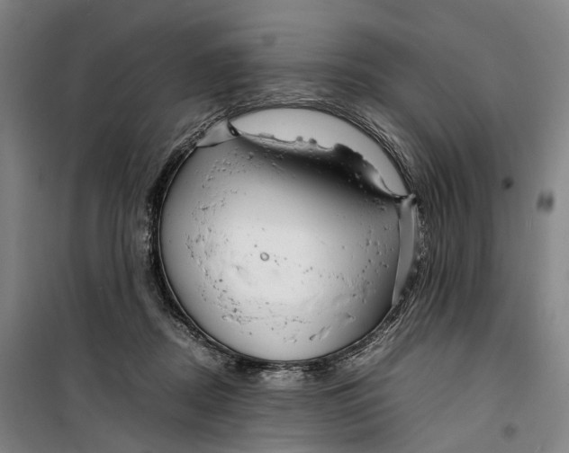 X0000099460362200805301539