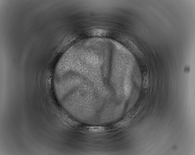 X0000099460363200805301539