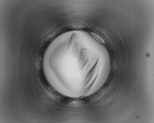 X0000099460364200805301539