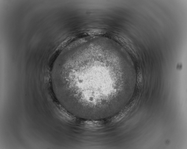 X0000099460367200805301539