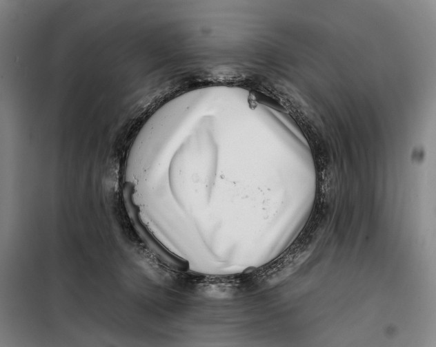 X0000099460368200805301539