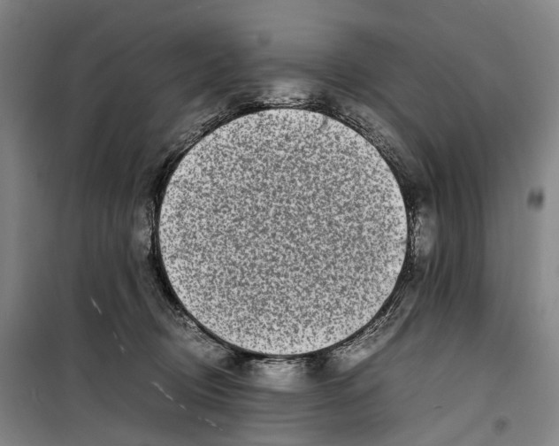 X0000099460370200805301539