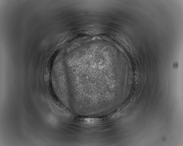 X0000099460371200805301539