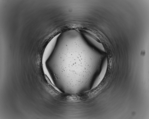 X0000099460372200805301539