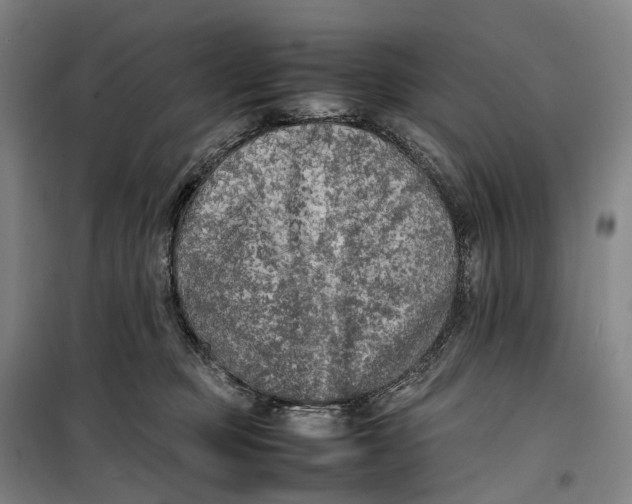 X0000099460373200805301539