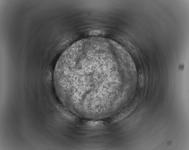 X0000099460375200805301539