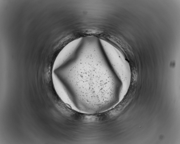 X0000099460376200805301539