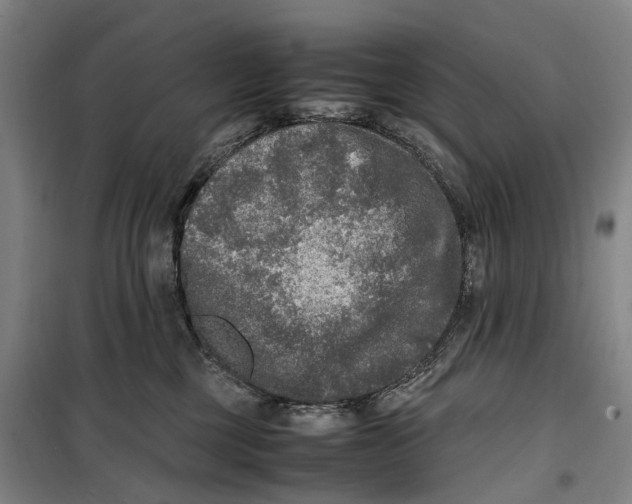 X0000099460377200805301539