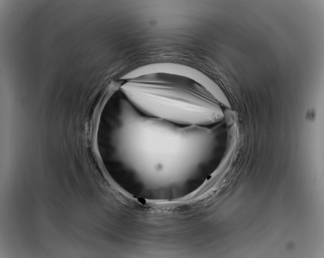 X0000099460378200805301539