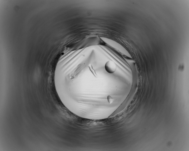 X0000099460379200805301539