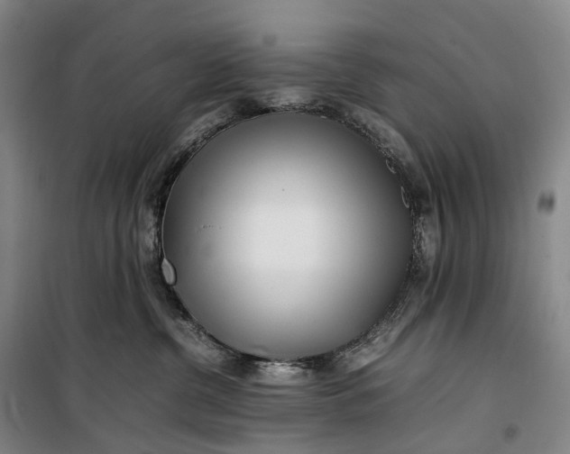 X0000099460380200805301539