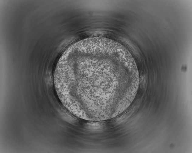 X0000099460381200805301539