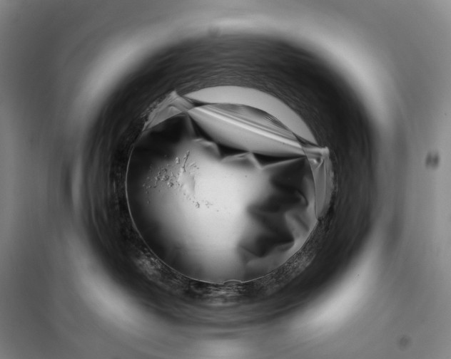 X0000099460382200805301539