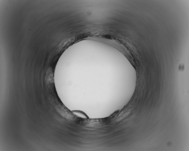 X0000099460384200805301539