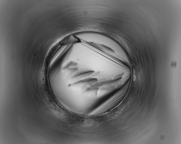 X0000099460388200805301539