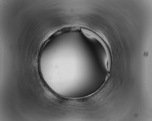 X0000099460389200805301539