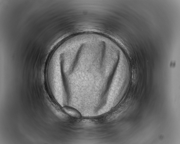 X0000099460390200805301539