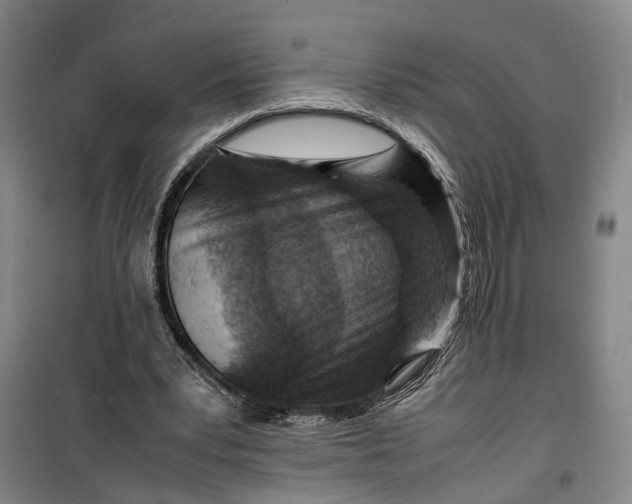 X0000099460391200805301539