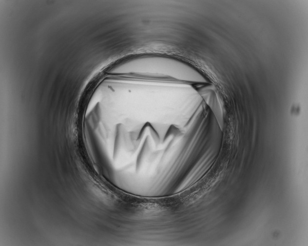 X0000099460392200805301539