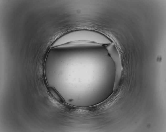 X0000099460393200805301539