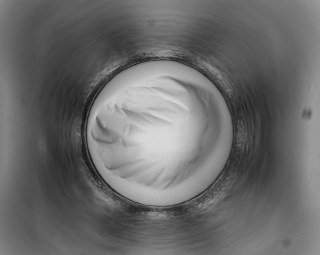 X0000099460394200805301539