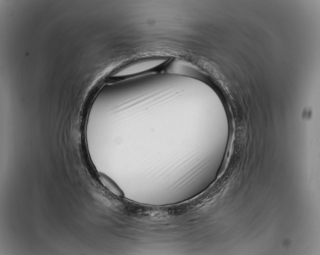 X0000099460395200805301539