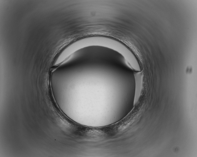 X0000099460397200805301539