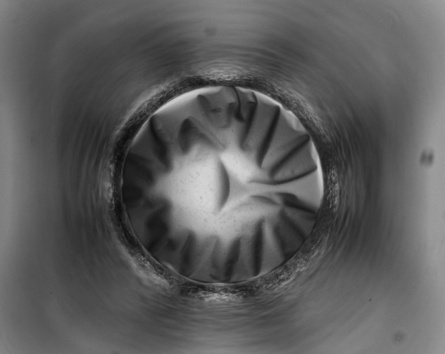 X0000099460400200805301539