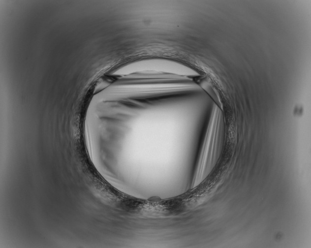 X0000099460403200805301539