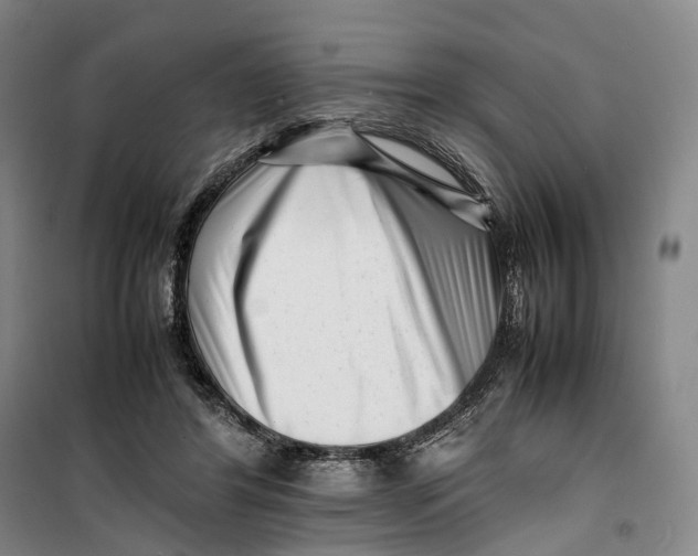 X0000099460404200805301539