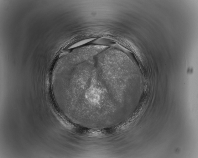 X0000099460405200805301539