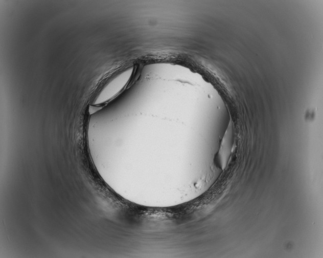 X0000099460407200805301539