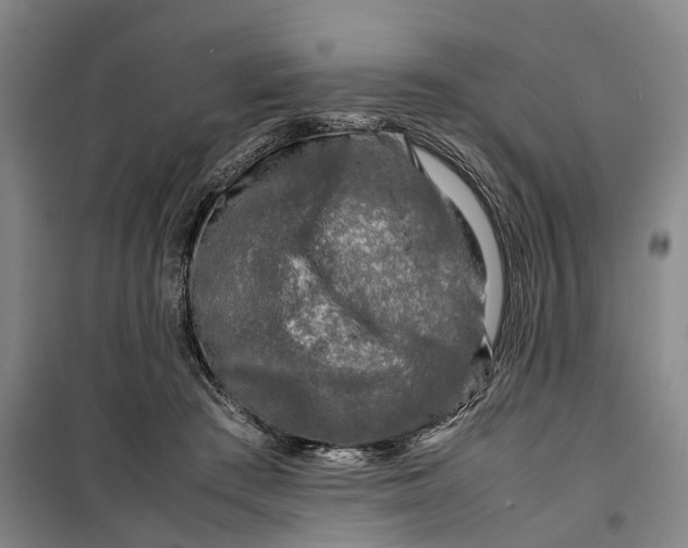 X0000099460409200805301539