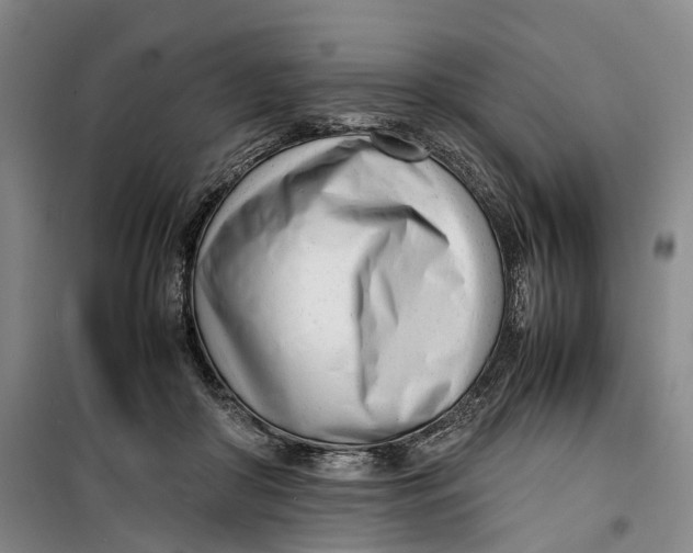 X0000099460410200805301539