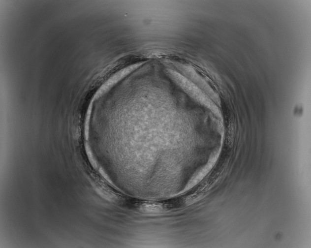 X0000099460413200805301538