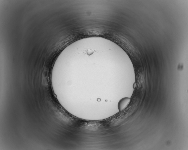 X0000099460414200805301538