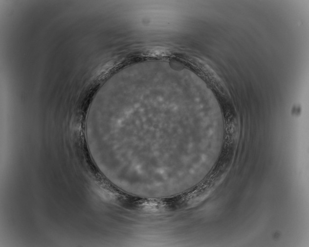 X0000099460415200805301538