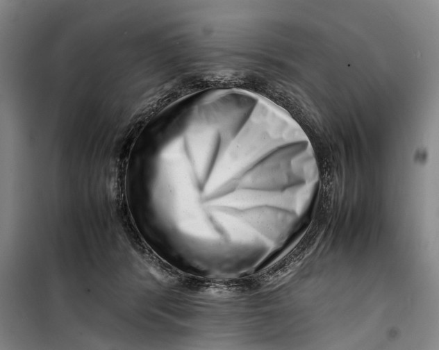 X0000099460416200805301538