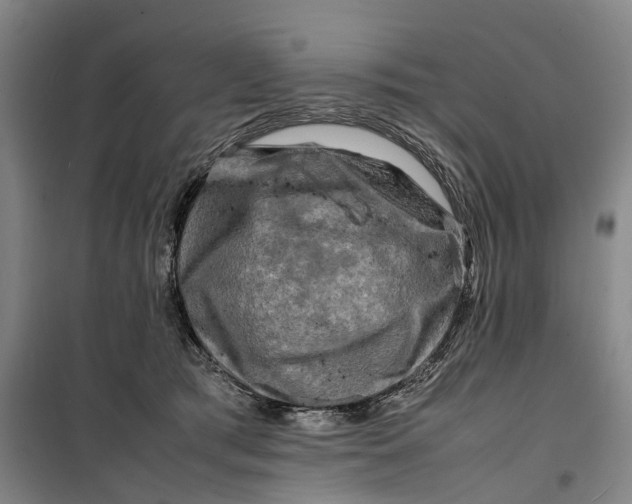 X0000099460417200805301538