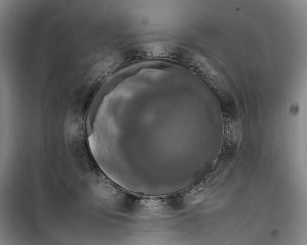 X0000099460419200805301538